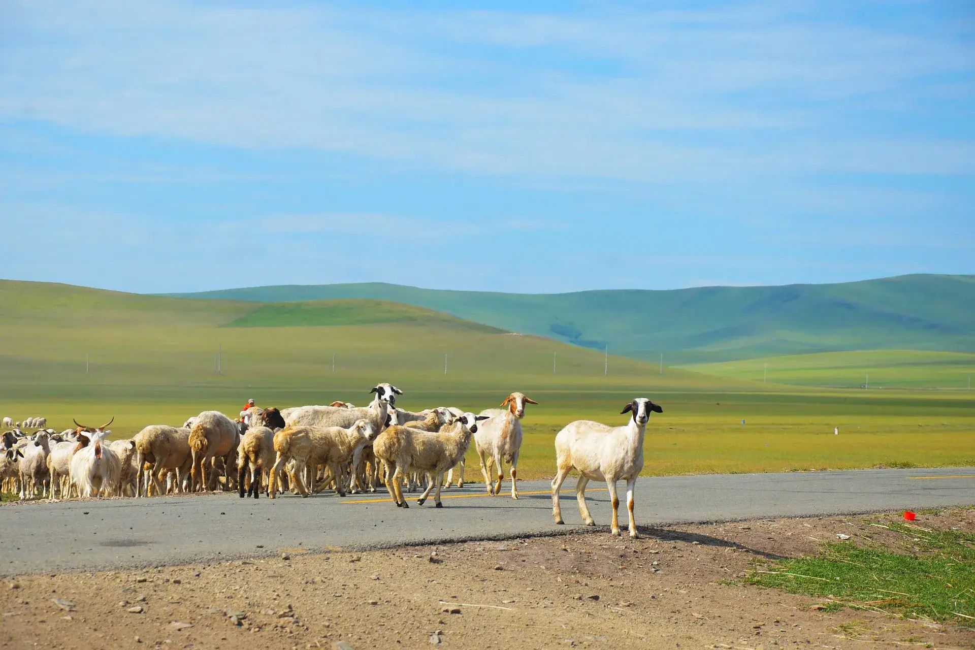 صناعة الزراعة